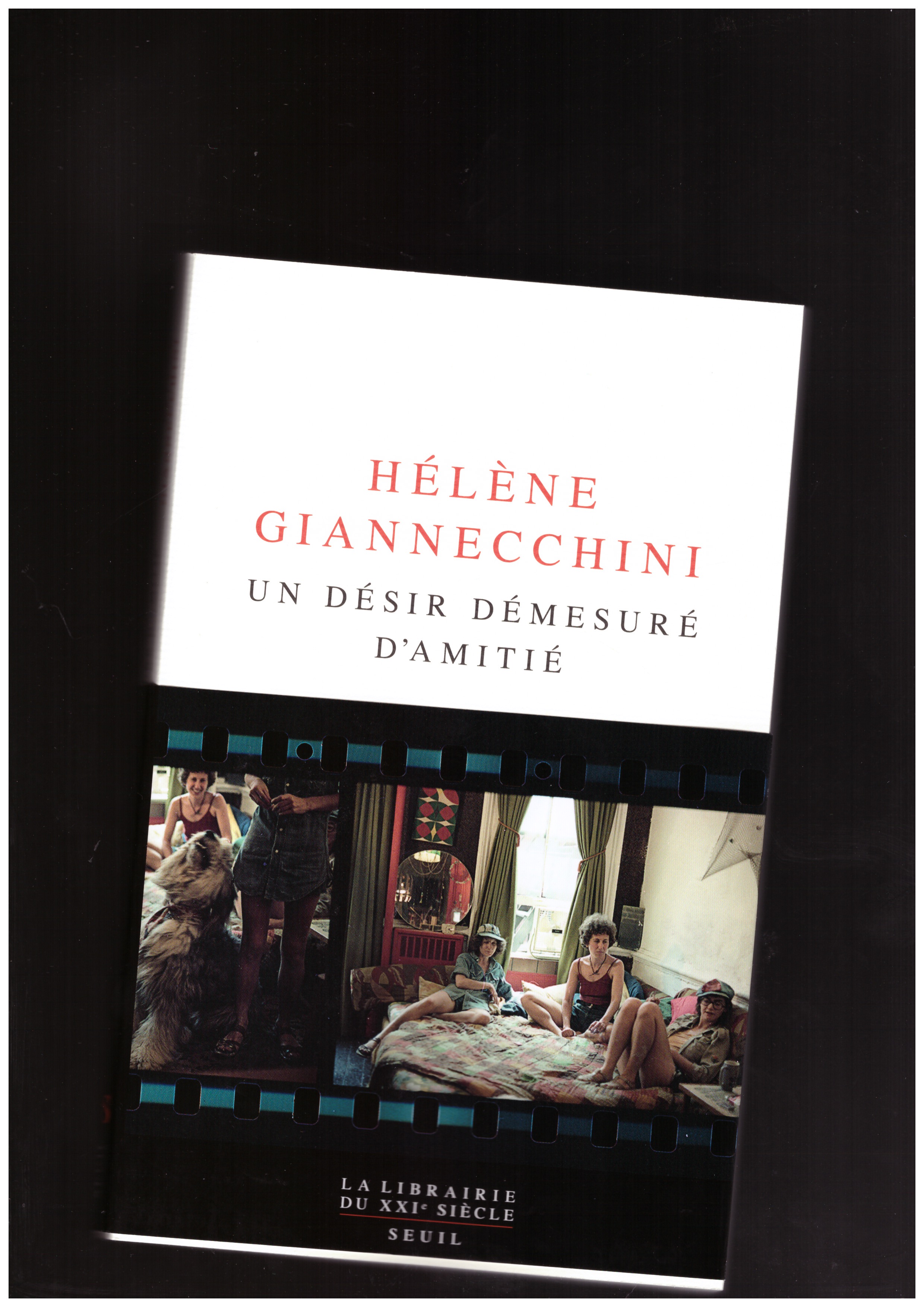 GIANNECCHINI, Hélène - Un désir démesuré d'amitié